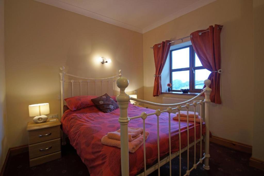 Aberystwyth Enlli Cottage المظهر الخارجي الصورة
